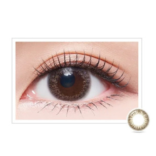 Givre 1Day – Amber Brown 日拋 10片裝